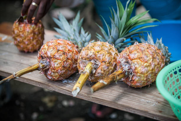 istock Woman cutting pineapples in Haiti on a long table 1157018196