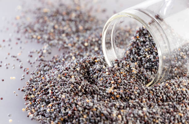 istock Organic poppy seeds - Papaver somniferum 1157018540