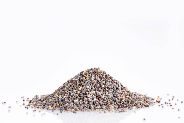 istock Organic poppy seeds - Papaver somniferum 1157019099