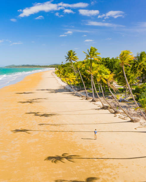 person, mann, junge, der unter palmen läuft. luftaufnahme vom strand mit weißem sand, schönen palmen und warmem türkisfarbenem tropischem wasser - aruba stock-fotos und bilder