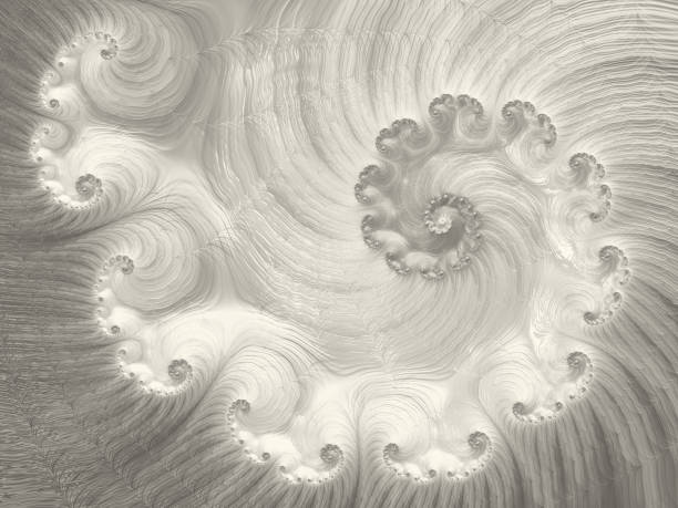 Swirl Silver Golden Spiral Nautilus Seashell Abstract Vortex Fractal Fine Art Glittering Gray Ombre Wave Pattern Swirl Silver Golden Spiral Vortex Nautilus Seashell Abstract Fractal Fine Art Glittering Gray Ombre Glittering wave pattern for greeting card, poster, banner, blank, website template Shiny wallpaper computer, tablet, laptop fossil photos stock pictures, royalty-free photos & images