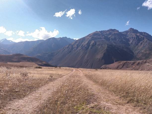 istock yellow meadow with road and mountains 1157024866