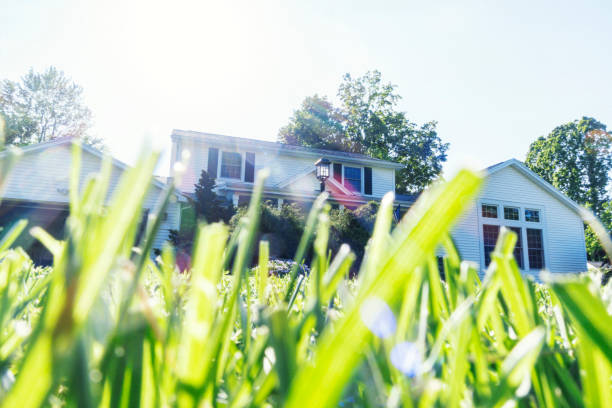 istock Low Perspective Sunny Bright Green Lawn Grass Close-Up 1157025762