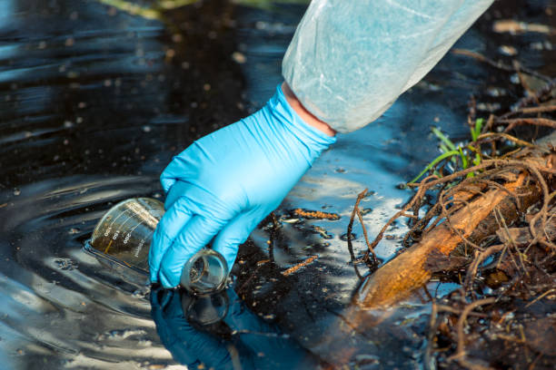 istock environmentalist's hand close up while taking a sample of water from a river in the forest 1157025802