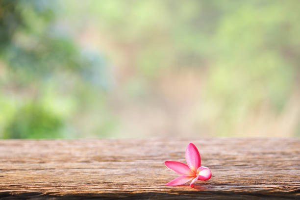 istock Pink frangipani on brown wooden table at outside 1157026193