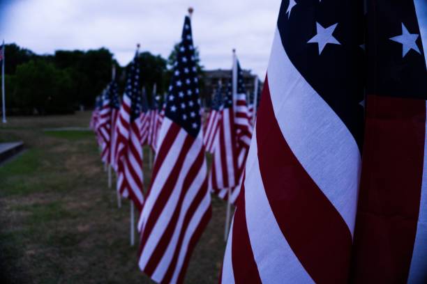 istock Field of flags 1157026651