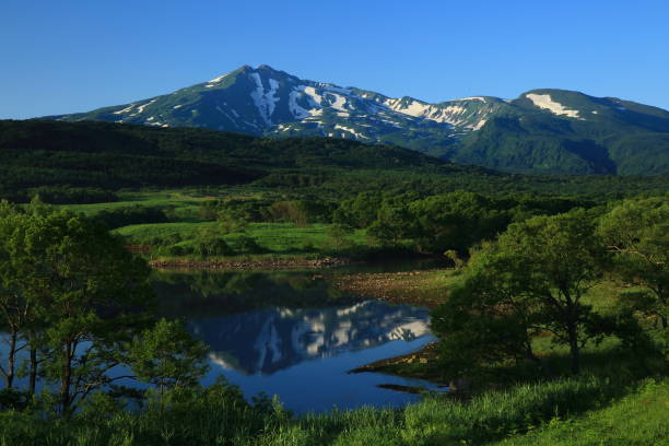 istock Chokai mountain in summer 1157029315