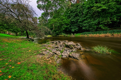 Melbourne's iconic Yarra River at Warburton in Victoria in winter
