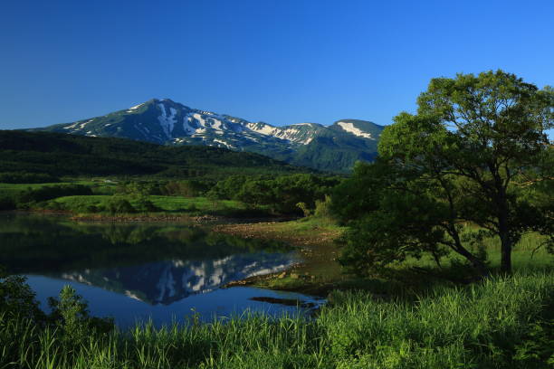 istock Chokai mountain in summer 1157030790