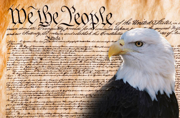 istock We the People. 1157031512