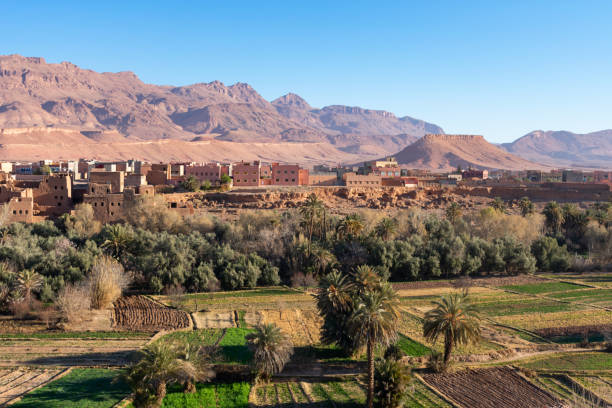 istock Tinghir Morocco Skyline with Farmland 1157031559