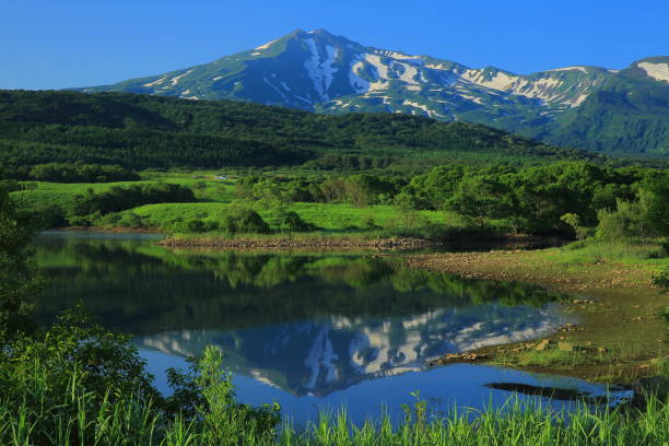 istock Chokai mountain in summer 1157032424