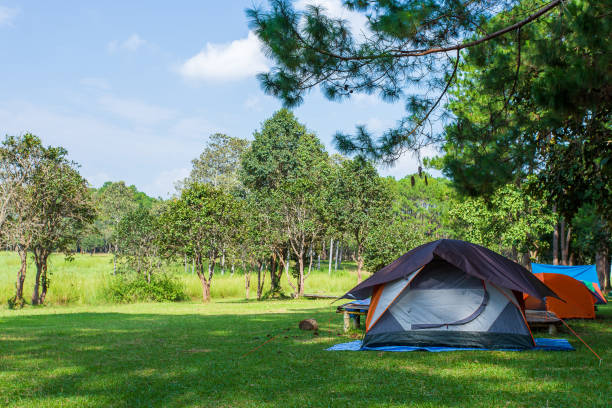 istock tourist tent camping in mountains 1157035756