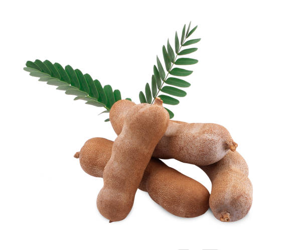 istock Tamarind isolated on the white background 1157036878