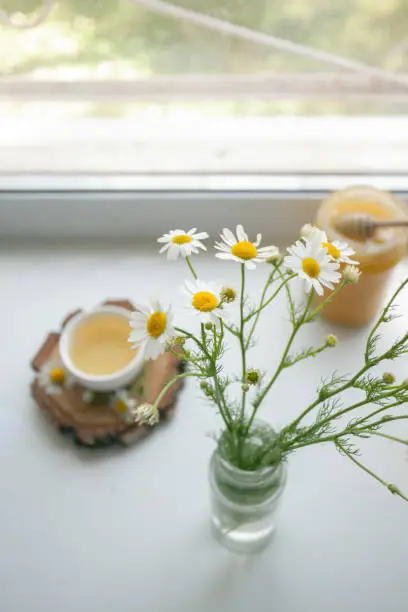 Cup of herbal chamomile tea on a windowsill. Chamomile tea in a whitecup and camomile flowers. Herbal tea for baby's stomach, remedy alternative. Copy space