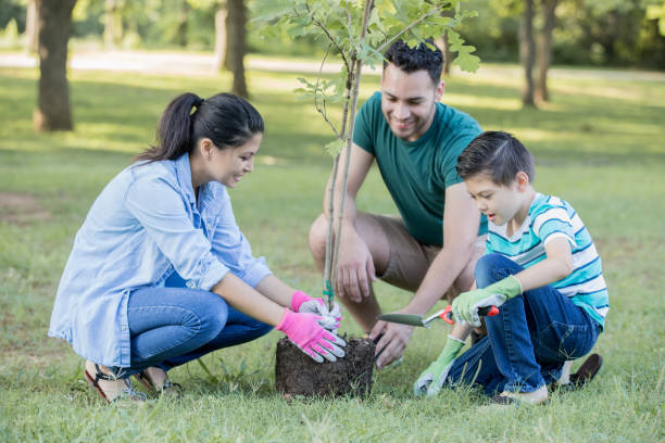 giovane famiglia che si offre volontaria e pianta alberi insieme nel parco della comunità locale - sayings nature plants deciduous tree foto e immagini stock