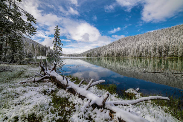 istock Yellowstone scenery after June snow 1157047215
