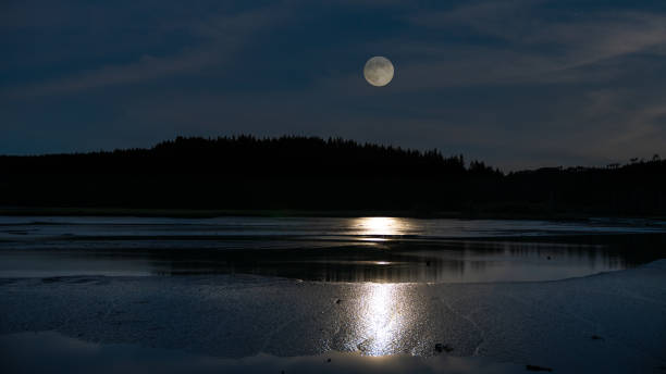 istock Moon Rise Over Oyster Bay Washington 1157047403