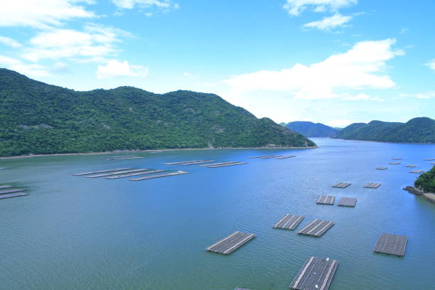 istock Katakami bay in Japan 1157048140