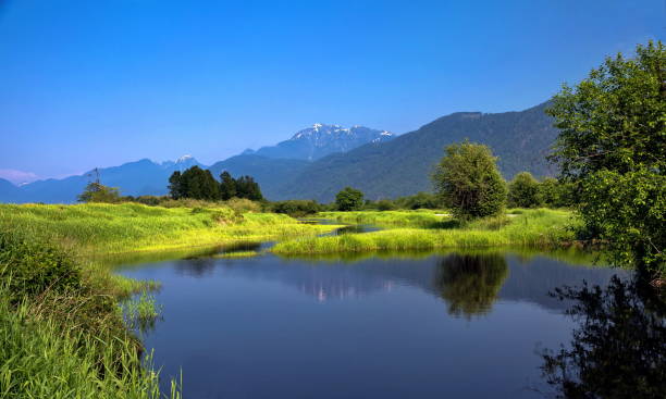 Pitt Lake Valley Provincial Park stock photo