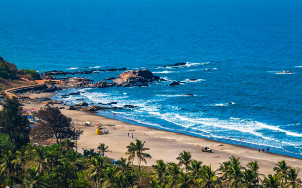 luftaufnahme des strandes von oben zeigt meer, strand, berg und eine kokosnussplantage. goa, indien - goa stock-fotos und bilder