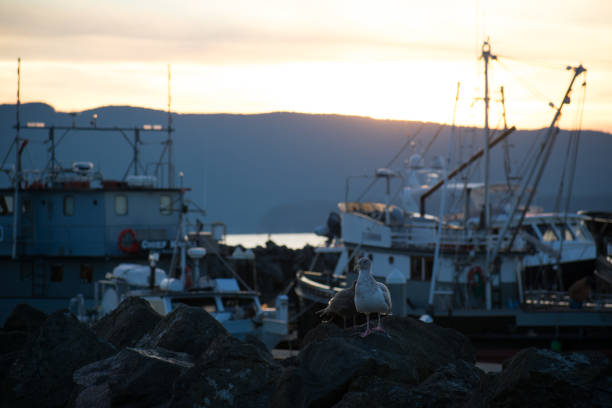 A solitary fishing boat tied to a stone pier, surrounded by tranquil water with mountains in the distance.