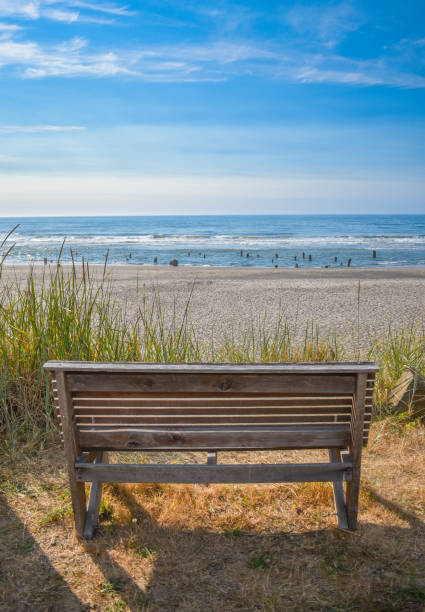 istock View of the beach from a bench 1157050426
