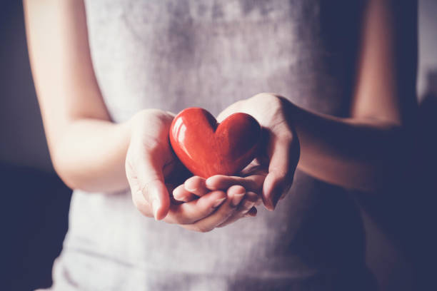 mujer sosteniendo el corazón rojo, seguro de salud, concepto de caridad de donación - people holding one person sign fotografías e imágenes de stock