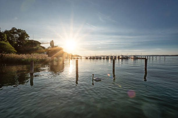 スイスのアルトナウ近くのボースタンス湖のロマンチックな夕日 - thurgau ストックフォトと画像