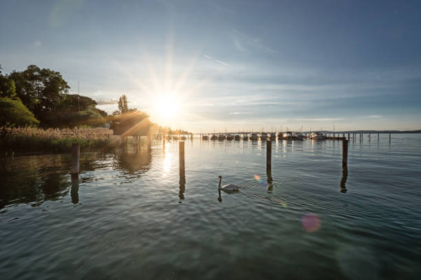 Romantic sunset over Lake Constance near Altnau in Switzerland sea house with boats anchored on a summer evening in Altnau on Lake Constance in Switzerland with a breathtaking sunset bodensee stock pictures, royalty-free photos & images
