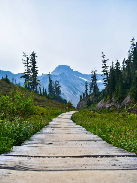 istock Wooden path in the mountains 1157054656
