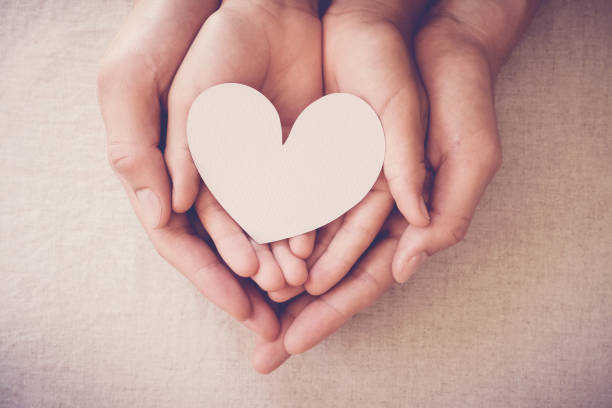 hands holding white heart, heart health insurance, donation charity, foster child concept - simplicity purity new life innocence imagens e fotografias de stock