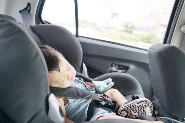 istock Sleepy little traveller 1157055650