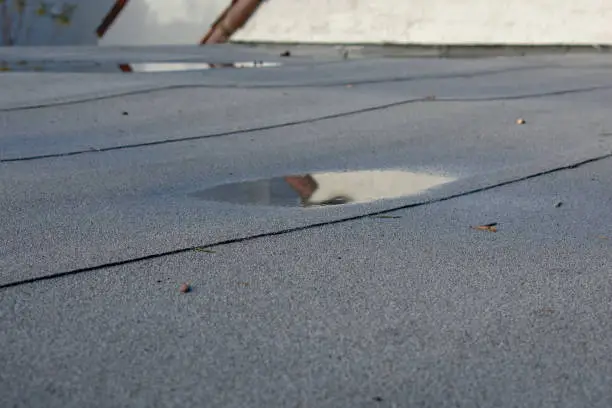 Photo of Ponding rainwater on flat roof after rain