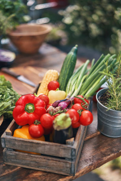 Fresh Organic Summer Vegetables Fresh Organic Summer Vegetables like Tomato, Spring Onions, Paprika, Corn, Cucumber and Eggplant spring mix lettuce leaves stock pictures, royalty-free photos & images