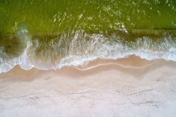 istock Ono Island and Perdido Key Beach 1157056634