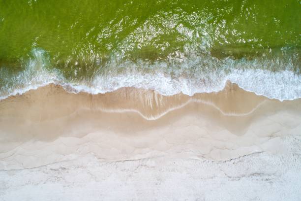 istock Ono Island and Perdido Key Beach 1157056636