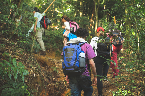 Grupo de aventureros que exploran la selva tropical photo