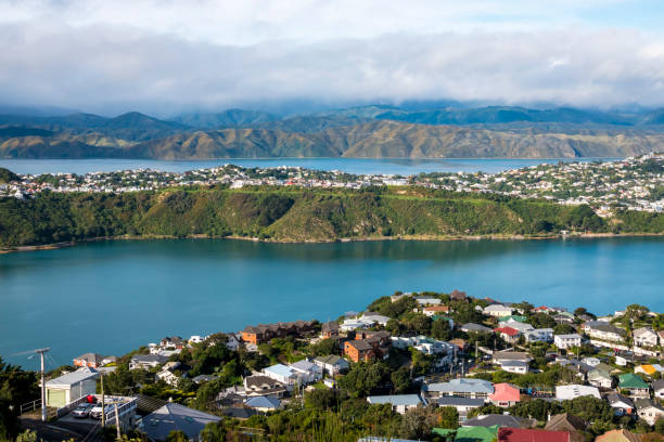 istock Wellington City East 1157063142