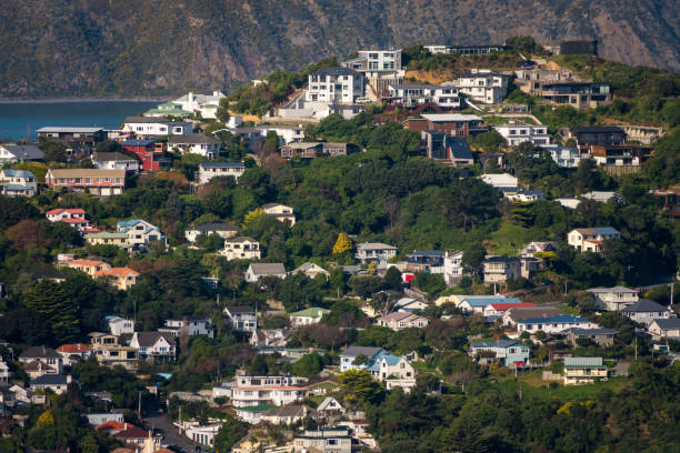 istock Wellington City East 1157063269
