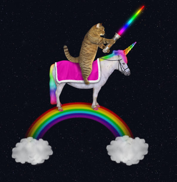 istock Cat rides an unicorn on the rainbow 2 1157063953