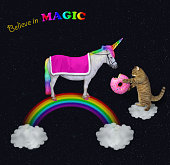 Cat feeds an unicorn on the rainbow