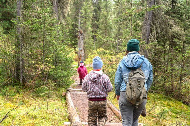 istock Family hikers walking in mountain forest 1157065263