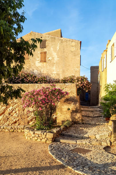 village corse de pigna, france - balagne photos et images de collection