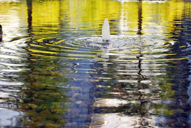 istock Lake in the park 1157076304