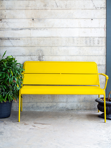 Modern yellow bench and plant in pot on concrete wall background with copy space vertical style.