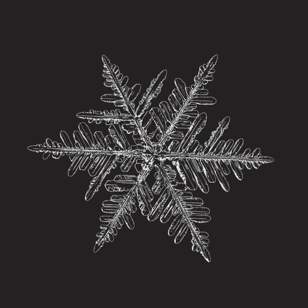 ilustraciones, imágenes clip art, dibujos animados e iconos de stock de copo de nieve aislado sobre fondo negro - intricacy snowflake pattern winter