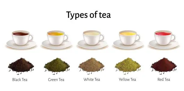 Vector illustration of Types of Tea Set , Porcelain Cups with Beverage