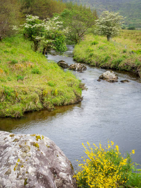istock Small river in county kerry ireland 1157090226