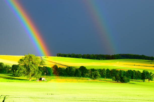 istock double rainbows on green landscape 1157092735
